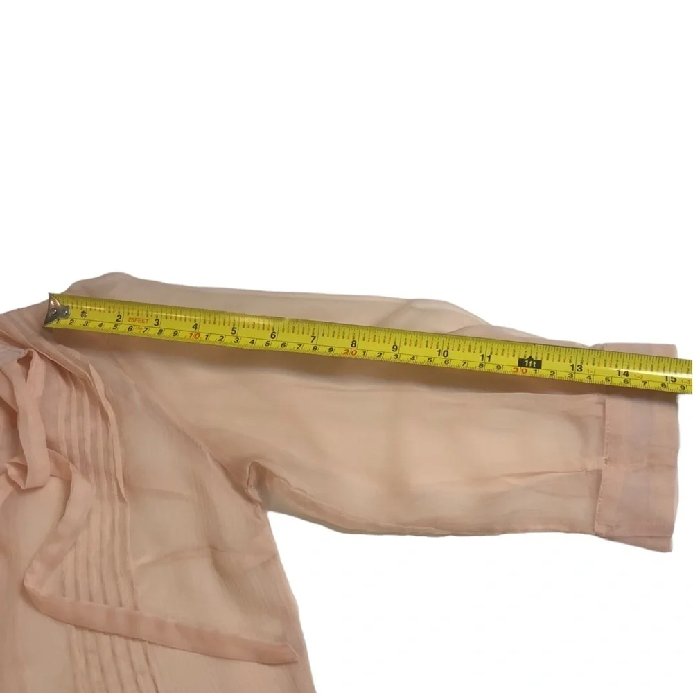 Blush Gauzy Chiffon Sheer Tunic Blouse with Buttons and Pleats - Picture 11 of 16